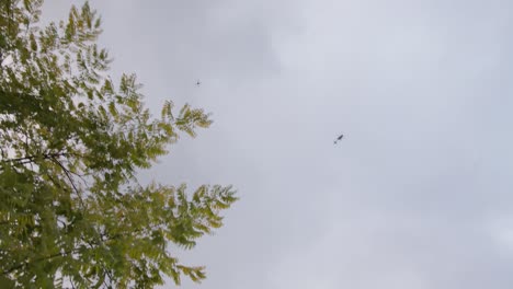 drones policiales y helicópteros se cruzan mientras vuelan en el cielo