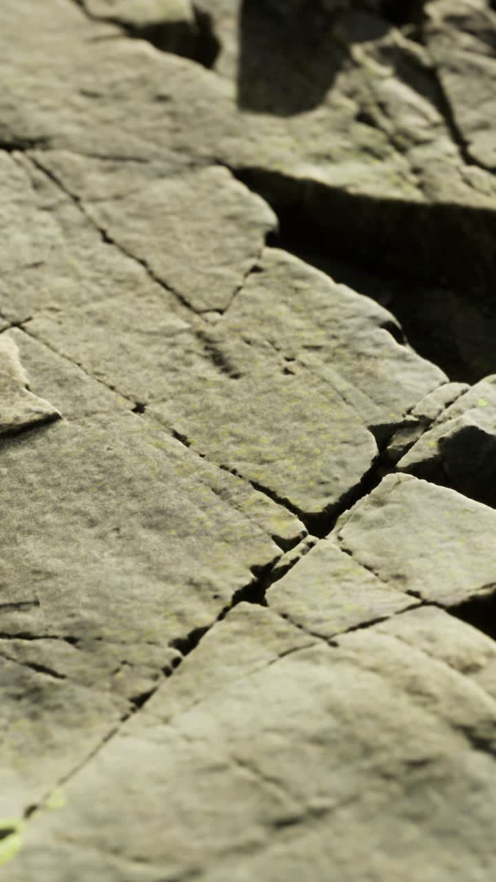 Unique rock formations adorned with vibrant lichen under bright sunlight