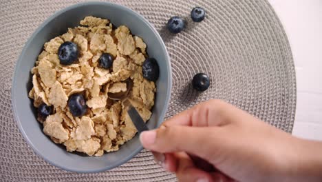 bowl of wheat flakes and blueberries 4k