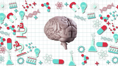 cerebro giratorio contra los iconos del concepto de la ciencia en fondo blanco