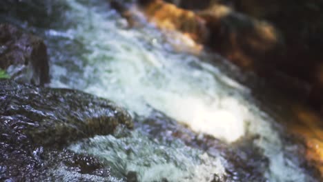 primer plano de agua que fluye a través del lago en cascada en cámara lenta