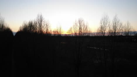 deciduous trees and farm ponds during beautiful sunset in winter