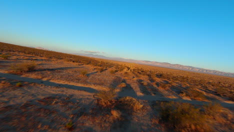 Vuelo-Temprano-En-La-Mañana-Sobre-El-Paisaje-Dorado-Del-Desierto-De-Mojave-Y-Los-árboles-De-Joshua---Vista-Aérea-En-Primera-Persona