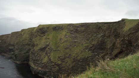 Imposing-cliff-face-with-nesting-birds-and-thriving-greenery-and-vegetation