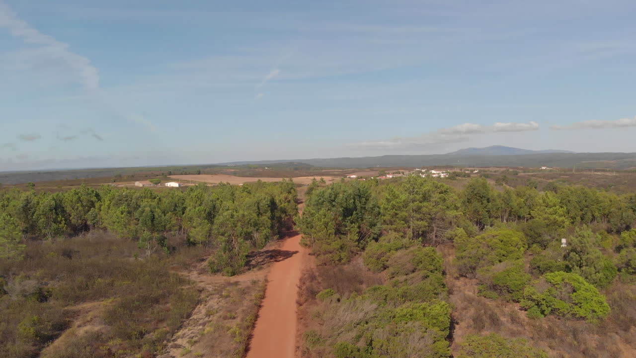 Young Woman With Guitar At The Back Walking On The Trail At The Red Forest In Ukraine On A Sunny Day - ascending drone shot