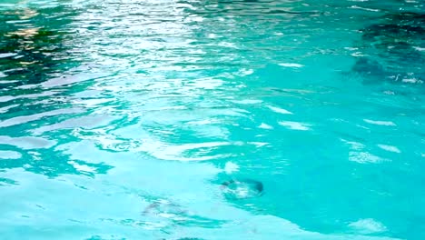 bulles lentes remontant à la surface dans la piscine de l'île