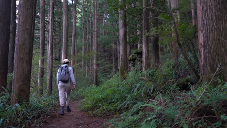 Male-hiker-hiking-inside-lush-green-forest-with-Japanese-shrine-structure