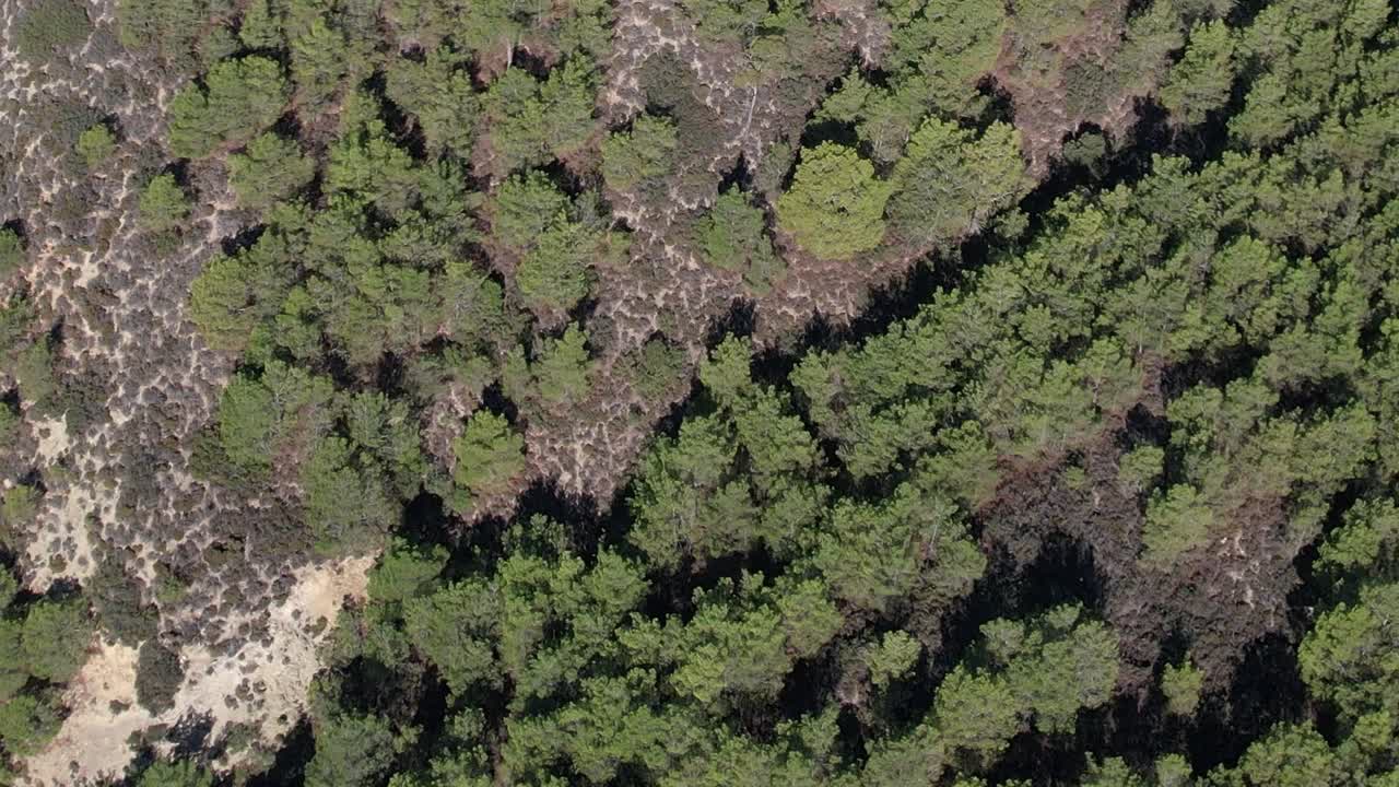 Aerial view of green forests showcasing nature in Greece