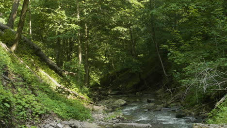 Ruhige-Weitwinkel-Waldszene-Mit-Ruhigem,-Flachem-Fluss,-Der-Reibungslos-Fließt