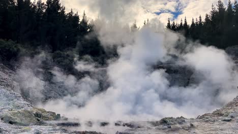 a plume of steam rises from a boiling hot spring in a rocky volcanic landscape surrounded by trees