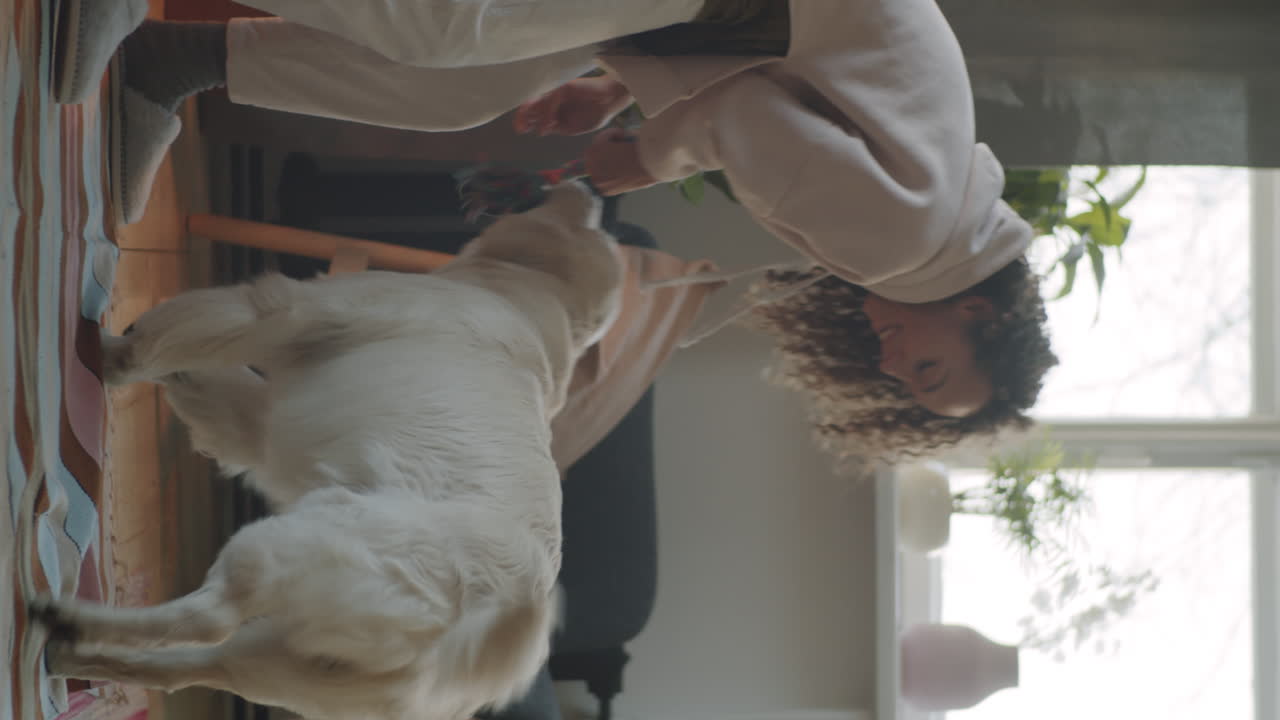 여자랑 개가 놀고 있어