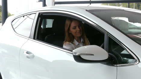 una mujer de negocios comprobando un coche.