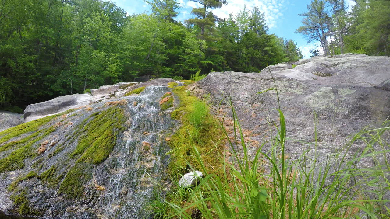 4k stationary shot Maine forest wilderness Stepp Falls Hiking trail area filled with cascades and waterfalls with large crystal clear pools of water for swimming