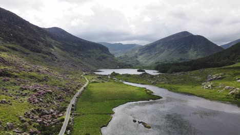 black valley road in early summer with cloudy sky, an aerial footage following road backwards with slowly descending