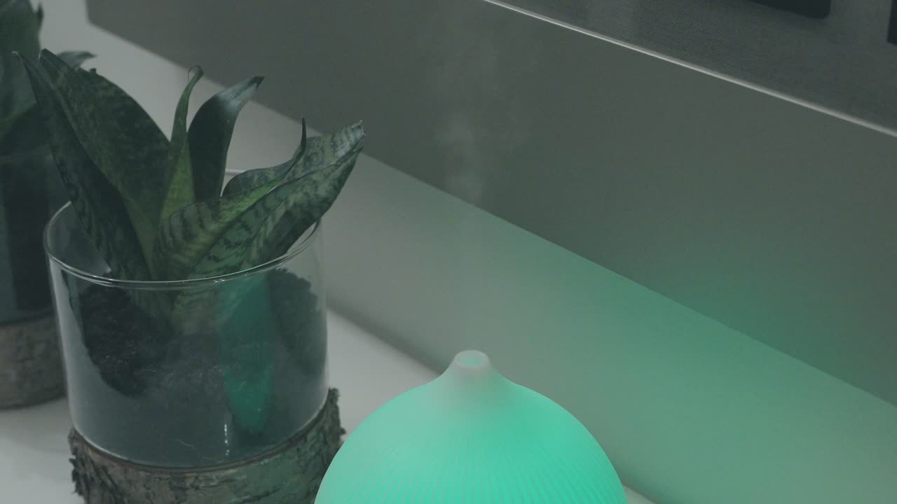 aroma diffuser emits soft mist beside a snake plant in glass pot on a minimalist white shelf