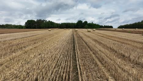 The-film-captures-the-drone's-graceful-flight-above-straw-bales-in-the-fields