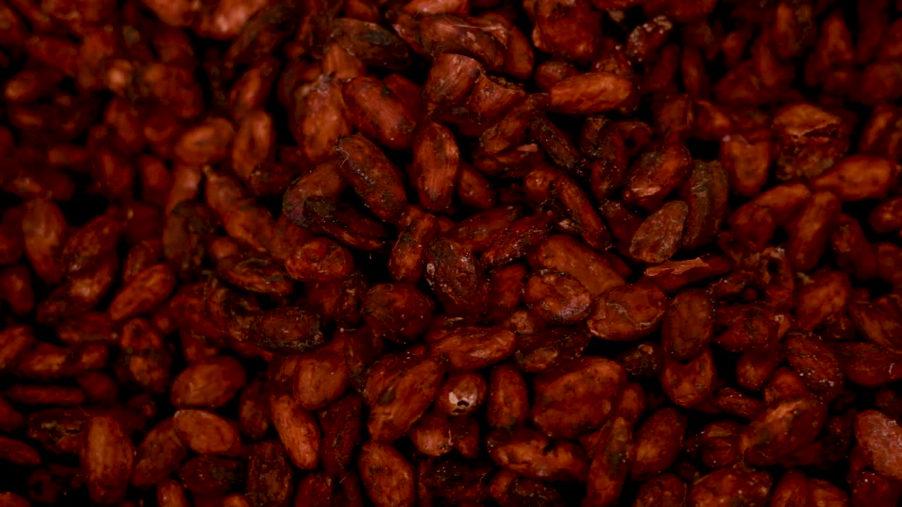 구운 카카오 콩