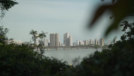 hangzhou city and qiantang river seen through the bushes