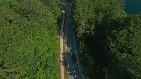 Drone-Flyover-Coastal-Road-With-Dense-Vegetation-In-Bohinj-Lake,-Slovenia