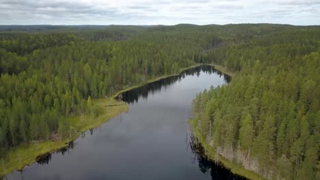 Panorama-Des-Fichtenwaldes,-Das-Sich-Auf-Einem-Transparenten-See-In-Finnland-Widerspiegelt