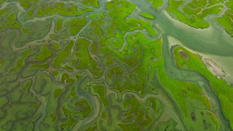 Coastal-peat-bog-landscape-with-various-canals