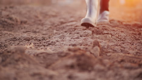 Un-Granjero-Con-Botas-Camina-Por-Un-Campo-Arado,-Solo-Las-Piernas-Son-Visibles-En-El-Marco