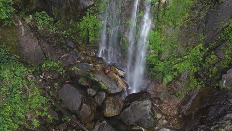 damp, lush mossy green base of wispy waterfall in honduras jungle