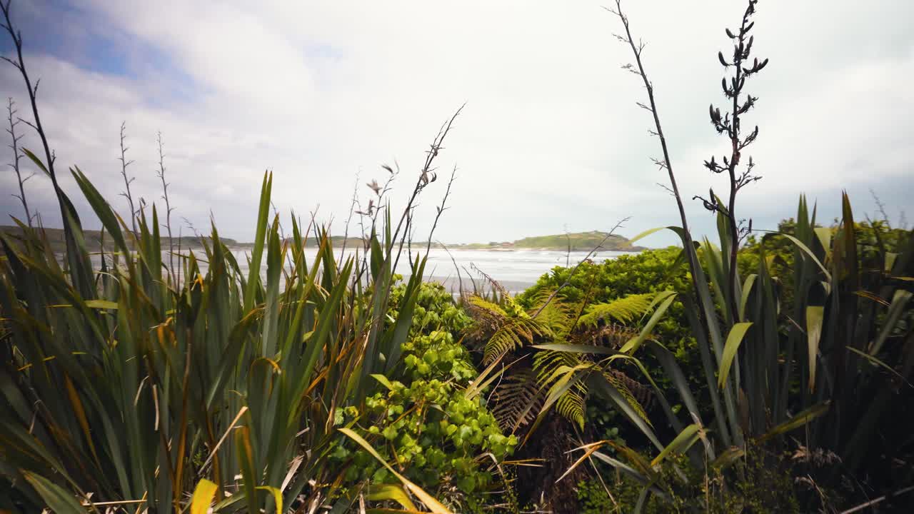 뉴질랜드 해안 산책로
