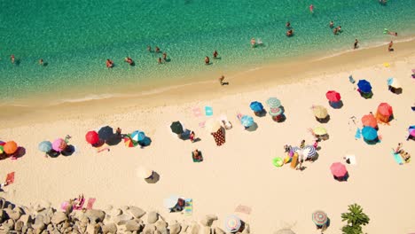 shadow of airplane flies over sandy beach