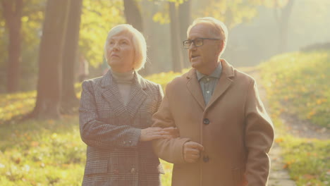 elderly man and woman walking together and talking in a beautiful park at sunset in autumn 1