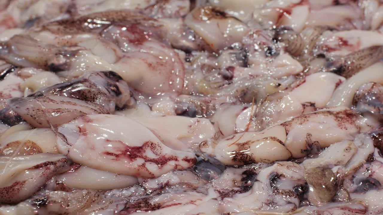 Closeup of freshly caught squid, ideal for delicious seafood dishes and elegant culinary presentations
