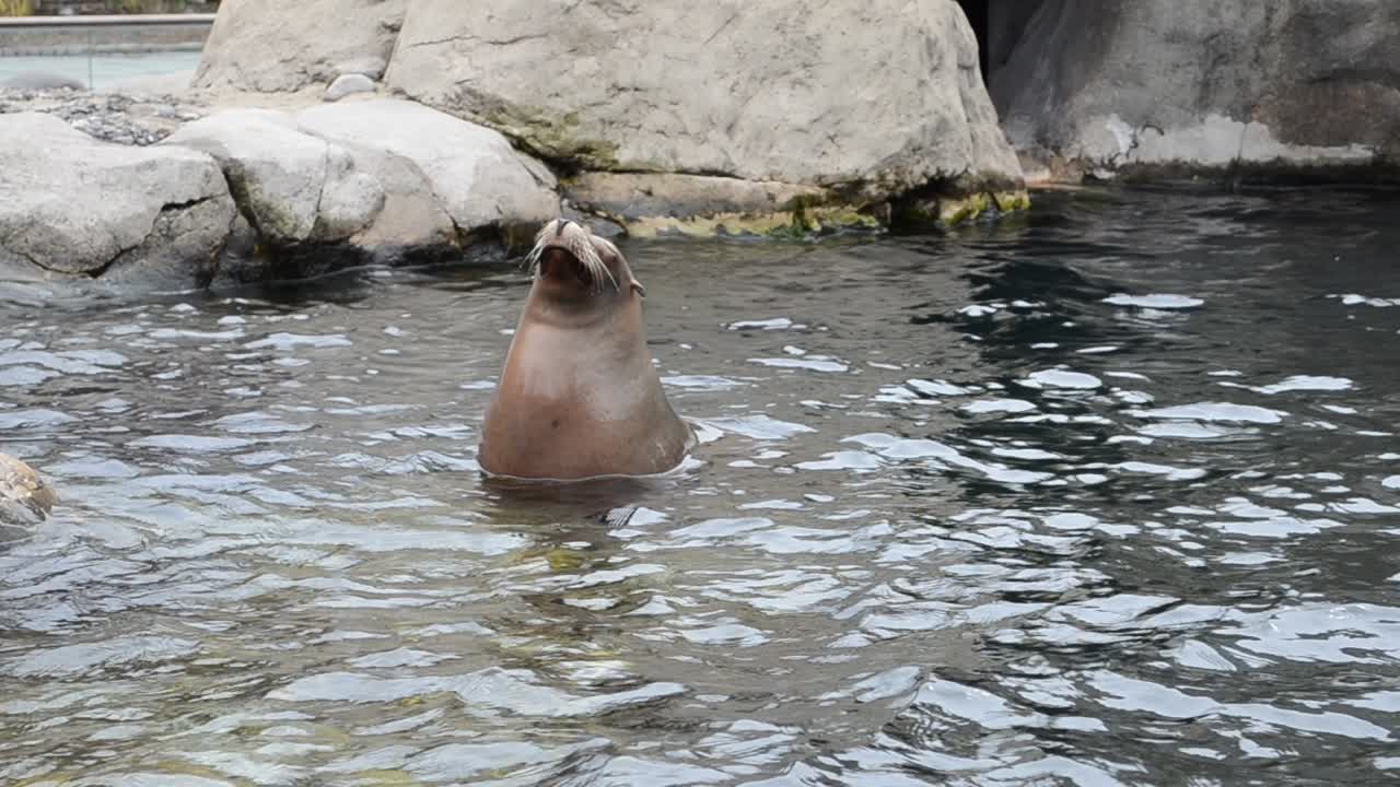 Central Park Zoo