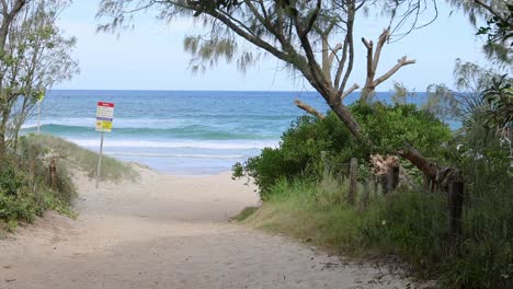 a tranquil walkway leading to a beach