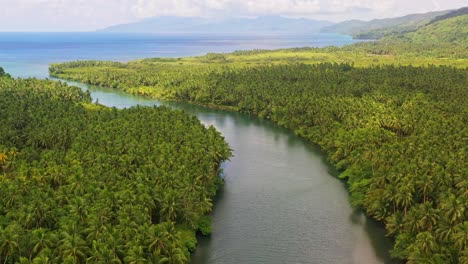 panorama da plantação de coqueiros com rio e paisagem marítima no sul de leyte, na ilha visayan das filipinas