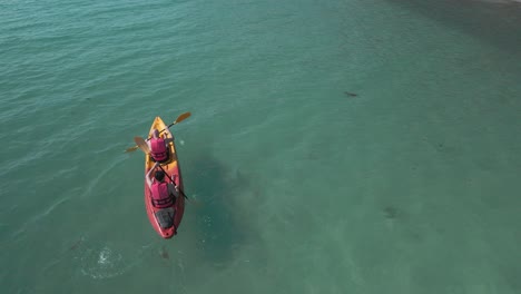 vista de pájaro de dos hombres en kayak en aguas tropicales