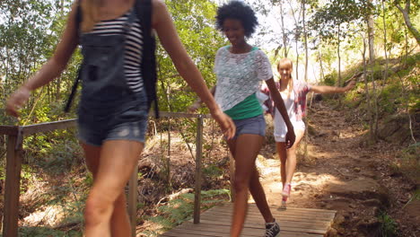 group of friends crossing a small bridge in a forest