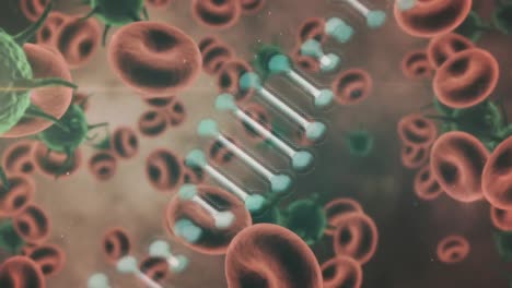 Animation-Eines-DNA-Strangs,-Der-Sich-über-Rotem-Blut-Dreht,-Und-Schwebenden-Covid-19-Zellen