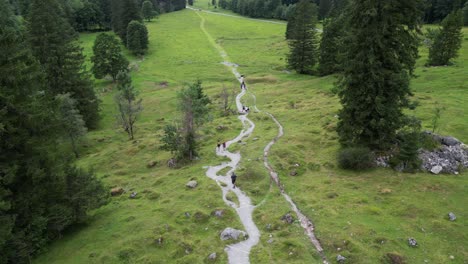 top drone aerial view of a mountain path near a fir tree forest in the swiss alps, people walk, grass meadow, engelberg, obwalden