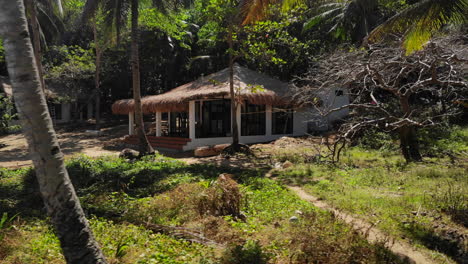 Aerial-Shot-Tropical-Jungle-Beach-Hut