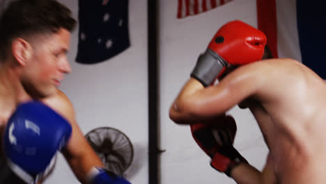 two boxers practicing in boxing ring