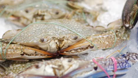 fresh crabs at the market