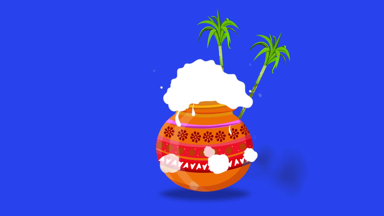 Vaso e canna da zucchero del festival di Buon Pongal su schermo blu. Può essere usato per auguri di Buon Pongal. Animazione con canale alfa su schermo blu. 4K.