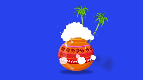 happy pongal festival pot and sugarcane on on blue screen. can be used for happy pongal greetings. animation with blue screen alpha channel. 4k