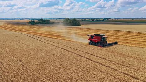 Aerial view of combine harvester. Aerial drone view of big harvester on field