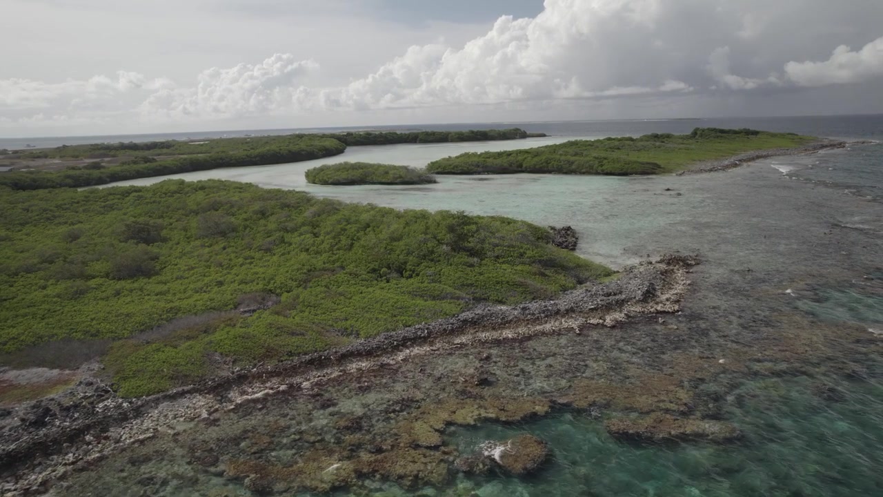 Ripresa cinematografica con drone che sorvola una remota riserva naturale costiera con acqua cristallina turchese, vegetazione di mangrovie e rocce scure sotto un cielo nuvoloso.