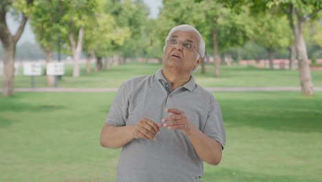 frustrated indian old man flying a mosquito in park