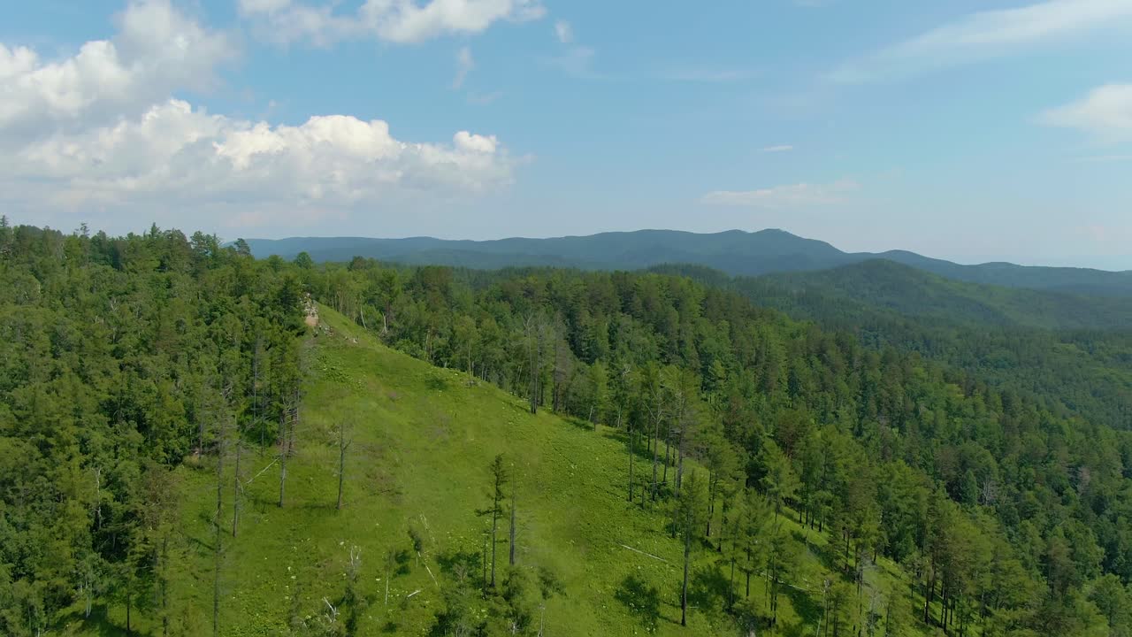paisaje forestal montañoso vista aérea
