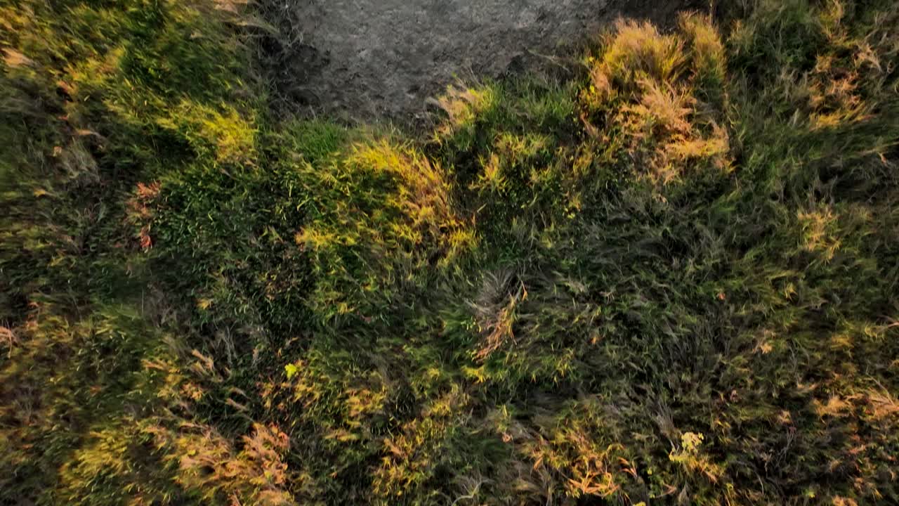 puesta de sol revelada sobre port bay texas