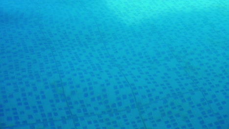 view of blue water on a tiled bottom pool