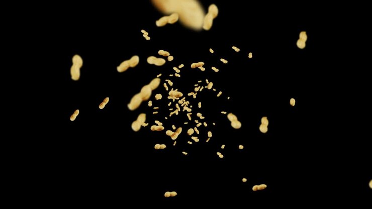 Molti arachidi che volano su sfondo nero. Arachidi crude. Arachidi con guscio. Cibo biologico sano. Animazione 3D in loop di semi che ruotano.